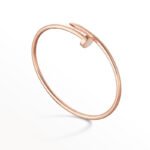 [Eternal Jewelry]JUSTE BRACELET 2.5MM - Image 2