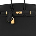 Togo Birkin 25 Black - Image 8