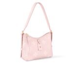 CarryAll PM - Image 2