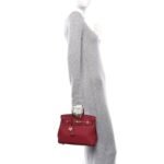 Togo Birkin 25 Rouge Grenat - Image 2