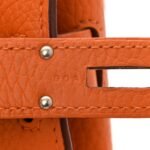 Taurillon Clemence Jypsiere 31 Orange - Image 13