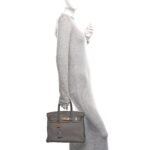 Togo Birkin 30 Etain - Image 2