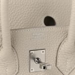 Togo Birkin 25 Craie - Image 5