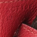 Togo Birkin 25 Rouge Grenat - Image 7