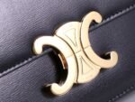 TEEN TRIOMPHE BAG IN SHINY CALFSKIN - Image 7