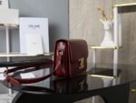 TEEN TRIOMPHE BAG IN SHINY CALFSKIN - Image 4