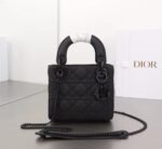 Lady Dior