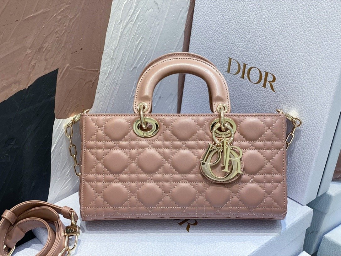 IMG_9981(1) Lady Dior Bag - Image 1